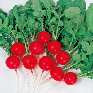 bh`C卪 2dl 卪 _CR yTJ^   ^lzyʏ5{ 5̂̓|Cg10{z