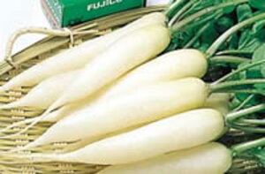 Ꮼ卪 2dl 卪 _CR yTJ^   ^lzyʏ5{ 5̂̓|Cg10{z