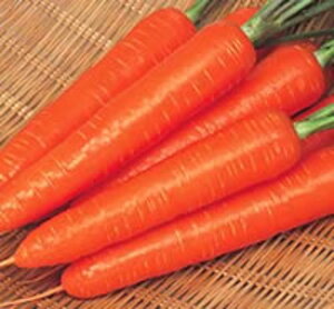 TJ^ybg x[^[b`lQ ybg1 jW ɂ񂶂 lQyTJ^   ^lzyʏ5{ 5̂̓|Cg10{z