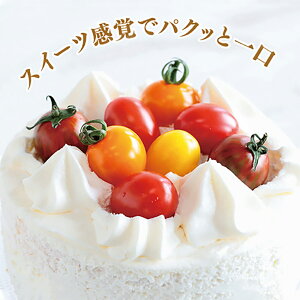 PRIMAX xjJ ~jg}g PRIMAX100 g}g Ƃ܂ ׉ցyTJ^   ^lzyʏ5{ 5̂̓|Cg10{z