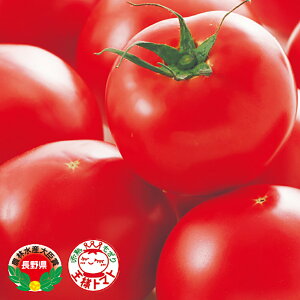 PRIMAX ăg}g PRIMAX1000 g}g Ƃ܂ ׉ցyTJ^   ^lzyʏ5{ 5̂̓|Cg10{z