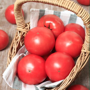 PRIMAX �n�E�X�p���g �g�}�g PRIMAX1000�� �g�}�g �Ƃ܂� �׉ցy�T�J�^ �� ���� �^�l�z�y�ʏ�5�{ 5�̂����̓|�C���g10�{�z