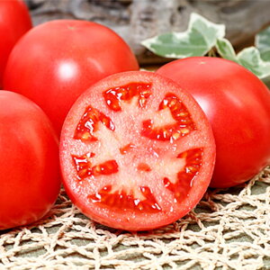 PRIMAX { g}g PRIMAX100 g}g Ƃ܂ ׉ցyTJ^   ^lzyʏ5{ 5̂̓|Cg10{z