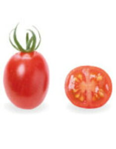 PRIMAX  ~jg}g PRIMAX100 g}g Ƃ܂ ׉ցyTJ^   ^lzyʏ5{ 5̂̓|Cg10{z