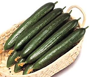 t[_nEX1ӉZ 350 ӉZ LE イyTJ^   ^lzyʏ5{ 5̂̓|Cg10{z