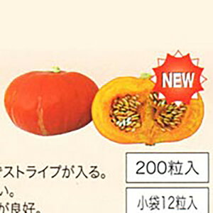 ׂɂZ PVP 200 Z J{` ڂyTJ^   ^lzyʏ5{ 5̂̓|Cg10{z