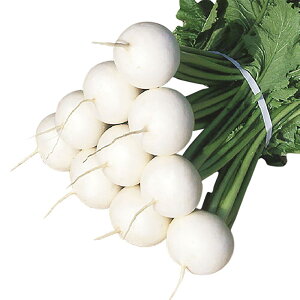 P 1dl  Ju  Rzz yRzc   ^l zyʏ5{ 5̂̓|Cg10{z