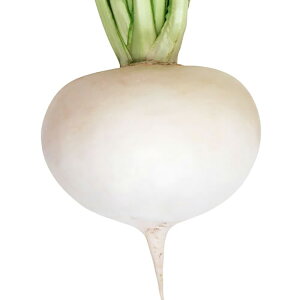 喼 20ml  Ju  Rzz yRzc   ^l zyʏ5{ 5̂̓|Cg10{z