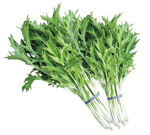 Rz琬 ؐ 1l  ~Yi ݂ȁyRzc   ^l zyʏ5{ 5̂̓|Cg10{z