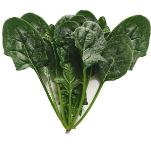 F1 AbvV[h NC[12 M3 ق @@ zE\E ق񂻂yRzc   ^l zyʏ5{ 5̂̓|Cg10{z