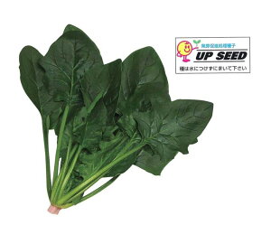 F1 AbvV[h O[h12 M3 ق @@ zE\E ق񂻂yRzc   ^l zyʏ5{ 5̂̓|Cg10{z