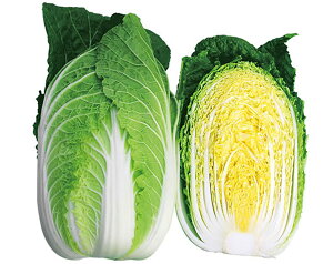 S 20ml  nNTC ͂ Rzz yRzc   ^l zyʏ5{ 5̂̓|Cg10{z