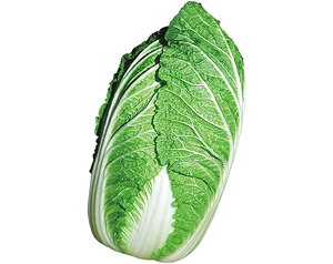 ᔒ 20ml  nNTC ͂ Rzz yRzc   ^l zyʏ5{ 5̂̓|Cg10{z