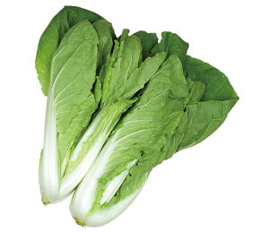 F1 ǖ蔒 1dl  nNTC ͂yRzc   ^l zyʏ5{ 5̂̓|Cg10{z