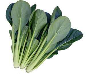 悵ݏ 1L  R}ci ܂ Rzz yRzc   ^l zyʏ5{ 5̂̓|Cg10{z