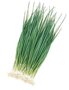 Rz琬 Z΋הK 2dl K lM ˂yRzc   ^l zyʏ5{ 5̂̓|Cg10{z