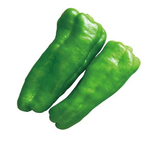 _ 1000 s[} ҁ[܂ Rzz yRzc   ^l zyʏ5{ 5̂̓|Cg10{z