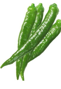 Rz琬 Ò 100 s[} ҁ[܂yRzc   ^l zyʏ5{ 5̂̓|Cg10{z