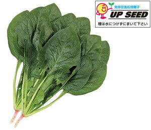 F1 AbvV[h Ӓ^Cv T}[h[ M3 ق @@ zE\E ق񂻂yRzc   ^l zyʏ5{ 5̂̓|Cg10{z