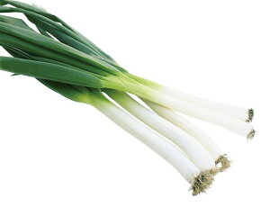 Rz琬 ̂ǂ{K 2dl K lM ˂yRzc   ^l zyʏ5{ 5̂̓|Cg10{z