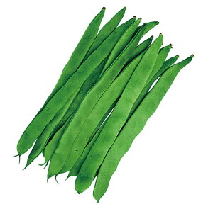 邠蕽 tbg l B TCQ ₢񂰂yRzc   ^l zyʏ5{ 5̂̓|Cg10{z