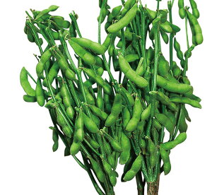 哤 l 哤  _CYyRzc   ^l zyʏ5{ 5̂̓|Cg10{z