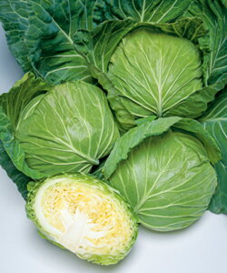 × ^LCz 20002ZR Lxc ×  Jy^LC   ^lzyʏ5{ 5̂̓|Cg10{z