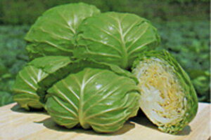 ���Ă̂��ق�×� �^�L�C��z L5�痱5�Z��R �L���x�c �×� ������ �J�������y�^�L�C �� ���� �^�l�z�y�ʏ�5�{ 5�̂����̓|�C���g10�{�z