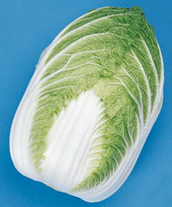 яH(񂵂) ^LCz 20ml  nNTC ͂y^LC   ^lzyʏ5{ 5̂̓|Cg10{z