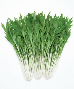 ȂŐ ^LCz 2dlX^hpbN200ml  ~Yi ݂ȁy^LC   ^lzyʏ5{ 5̂̓|Cg10{z