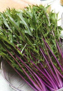  g@t ^LC琬 PVP 2dlX^hpbN200ml  ~Yi ݂ȁy^LC   ^lzyʏ5{ 5̂̓|Cg10{z