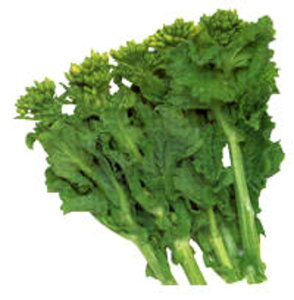 �~�؍؉� �^�L�C��z 2dl�X�^���h�p�b�N200ml �؉� �i�o�i �Ȃ΂ȁy�^�L�C �� ���� �^�l�z�y�ʏ�5�{ 5�̂����̓|�C���g10�{�z