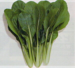 ׂ ^LC琬 2dlX^hpbN200ml  R}ci ܂ȁy^LC   ^lzyʏ5{ 5̂̓|Cg10{z