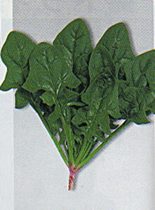 ߖ@@ ^LCz 1L ق @@ zE\E ق񂻂y^LC   ^lzyʏ5{ 5̂̓|Cg10{z