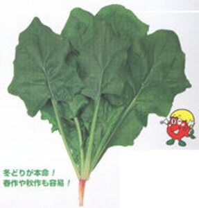 gC@@ ^LCz 1L ق @@ zE\E ق񂻂y^LC   ^lzyʏ5{ 5̂̓|Cg10{z