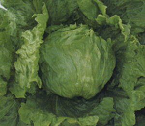 ^X EB[ ^LC琬 PVP L5痱5ZR ^Xy^LC   ^lzyʏ5{ 5̂̓|Cg10{z