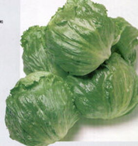 ^X VXR ^LC琬 20ml ^Xy^LC   ^lzyʏ5{ 5̂̓|Cg10{z