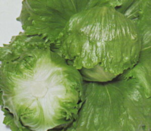 ^X X^[C ^LC琬 PVP L5痱5ZR ^Xy^LC   ^lzyʏ5{ 5̂̓|Cg10{z