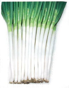zCg\[hK ^LCz 1dlX^hpbN100ml K lM ˂y^LC   ^lzyʏ5{ 5̂̓|Cg10{z