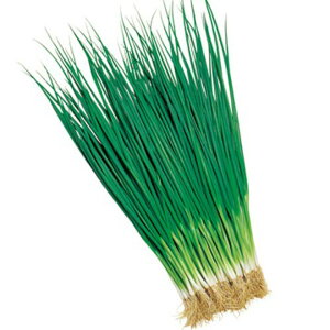 tK ^LCz 2dlX^hpbN200ml K lM ˂y^LC   ^lzyʏ5{ 5̂̓|Cg10{z