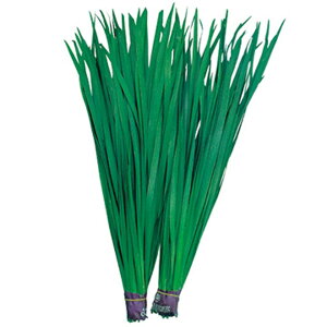 LЂɂ 1dl100ml B j ɂy^LC   ^lzyʏ5{ 5̂̓|Cg10{z