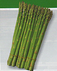 AXpKX V[ ^LCz 20ml AXpKXy^LC   ^lzyʏ5{ 5̂̓|Cg10{z