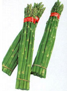 [Vg 1dl100ml AXpKXy^LC   ^lzyʏ5{ 5̂̓|Cg10{z