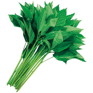 wC 20ml20ml V}ci\ wCy^LC   ^lzyʏ5{ 5̂̓|Cg10{z