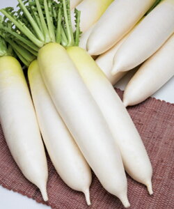 yGi؂zH̗卪 ^LCz 3L5痱5ZR 卪 _CR y^LC   ^lzyʏ5{ 5̂̓|Cg10{z