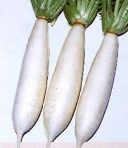 ӂ卪(Ƃ) ^LCz 2dlX^hpbN200ml 卪 _CR y^LC   ^lzyʏ5{ 5̂̓|Cg10{z