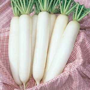 卪 ^LCz 2dlX^hpbN200ml 卪 _CR y^LC   ^lzyʏ5{ 5̂̓|Cg10{z