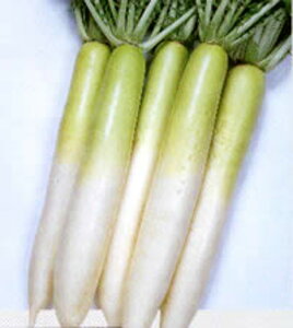 ϕa{d卪() ^LCz 50ml 卪 _CR y^LC   ^lzyʏ5{ 5̂̓|Cg10{z