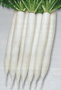 H卪() ^LCz 2dlX^hpbN200ml 卪 _CR y^LC   ^lzyʏ5{ 5̂̓|Cg10{z