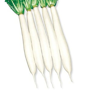 z卪() ^LCz 2dlX^hpbN200ml 卪 _CR y^LC   ^lzyʏ5{ 5̂̓|Cg10{z